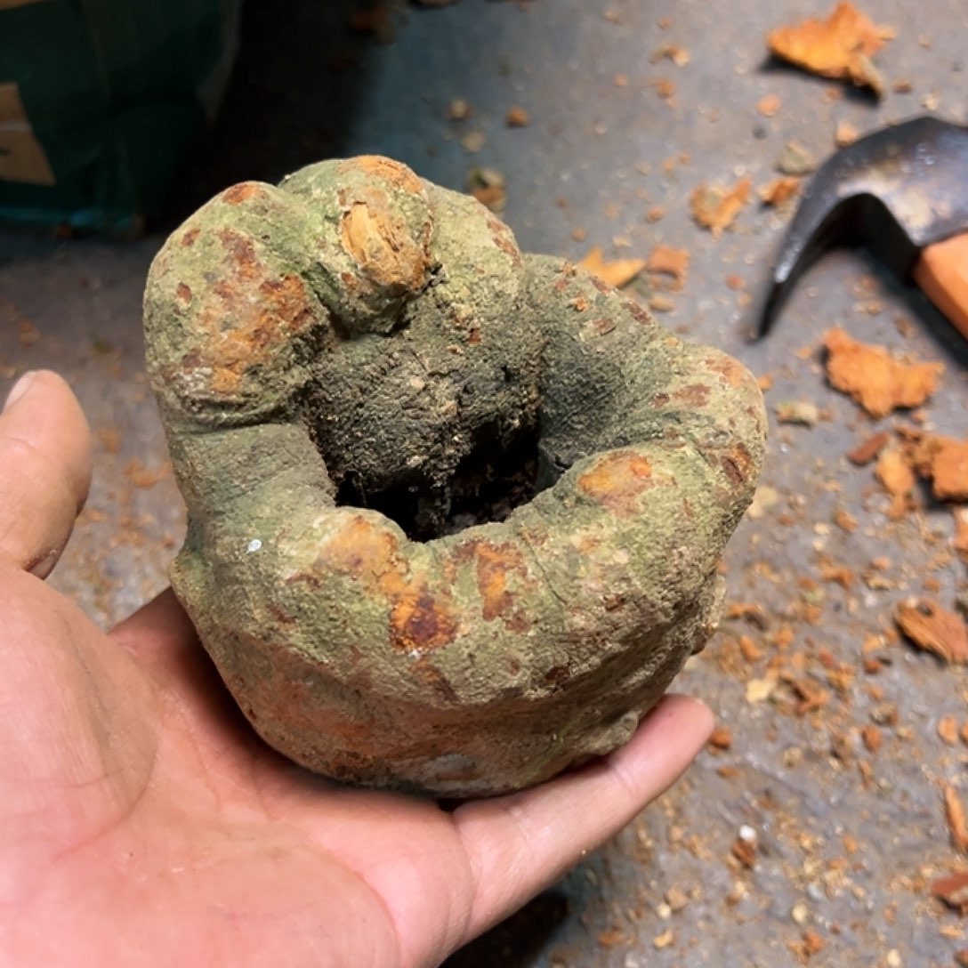 大***超荔枝木荔枝木毛料，不支持退货退款58