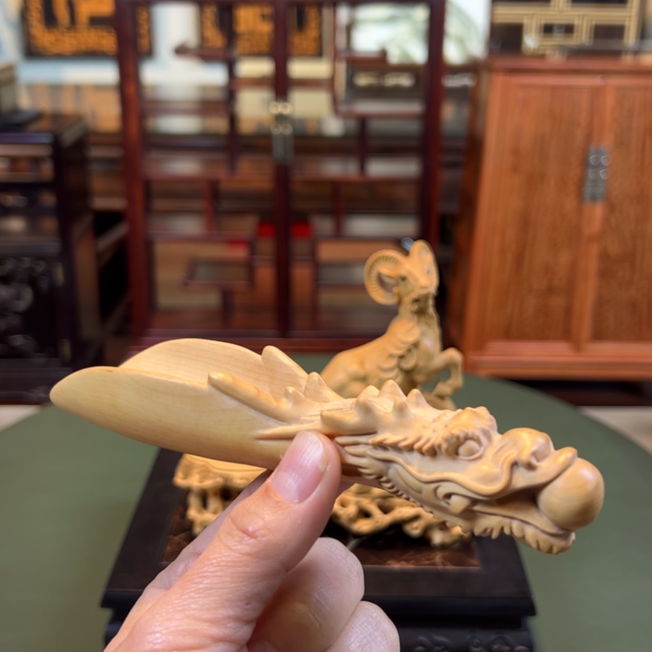 【闪购商品】黄杨木其他黄杨木