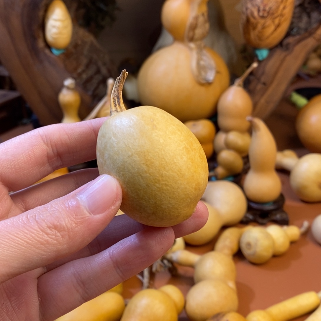 佛***人教练教练教练教练经理