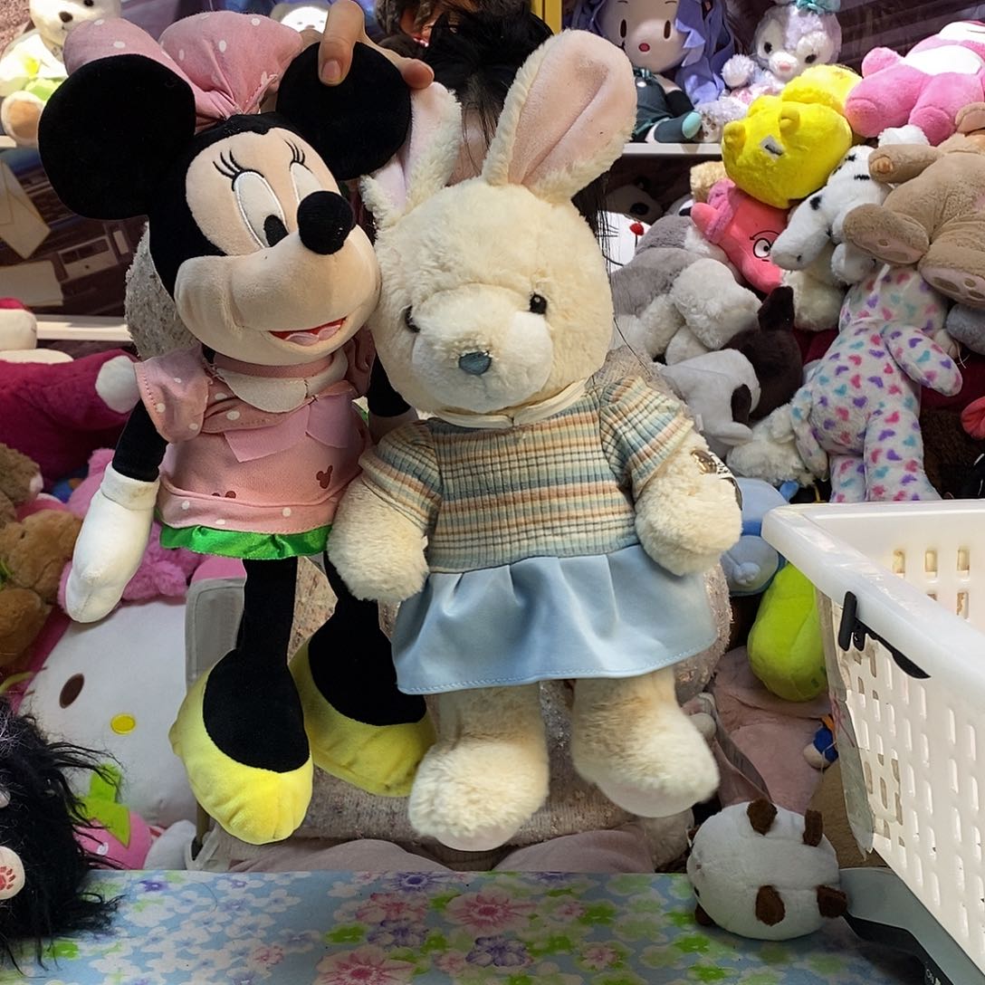 毛绒艾****?毛绒玩具815