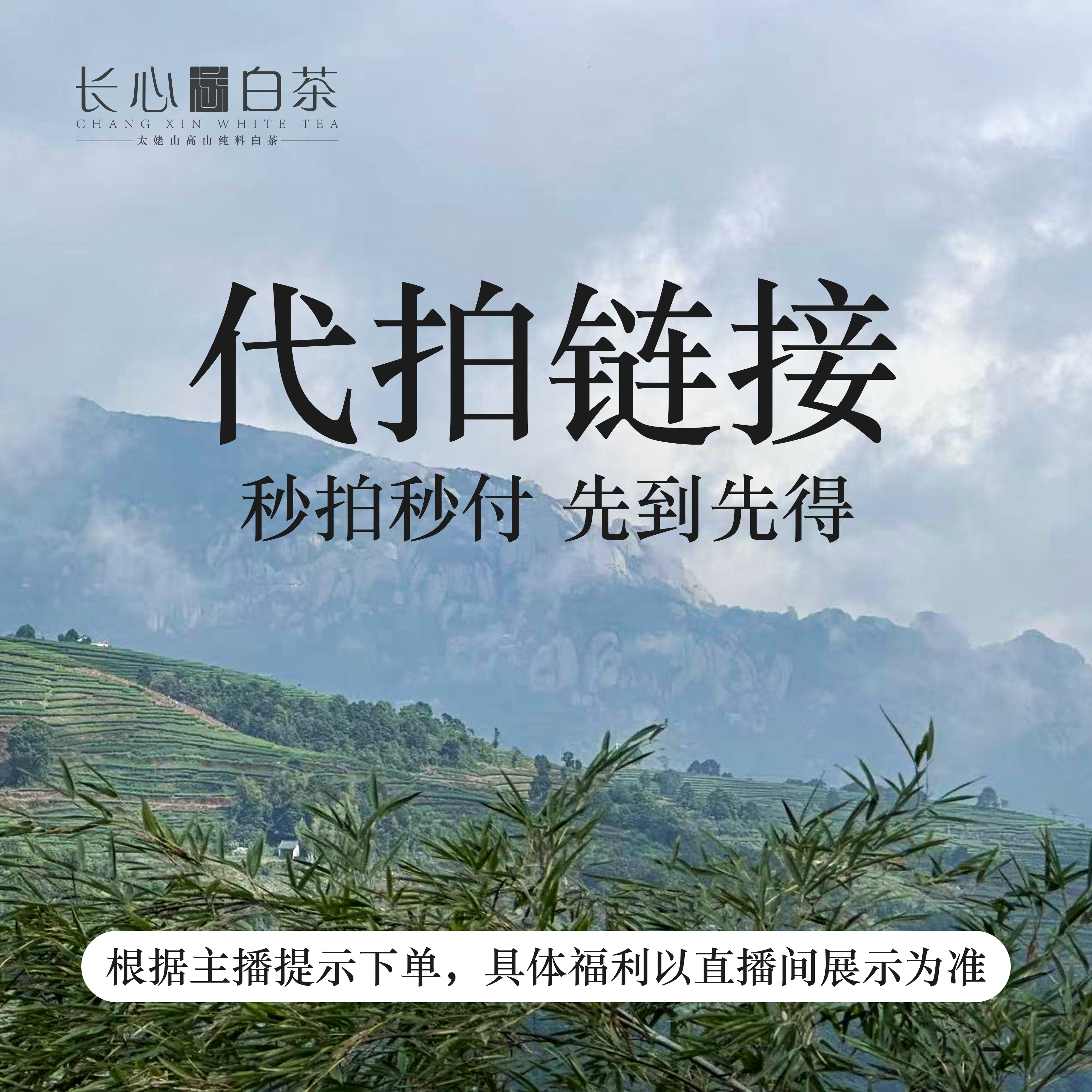 【代拍链接】2021年一级野贡