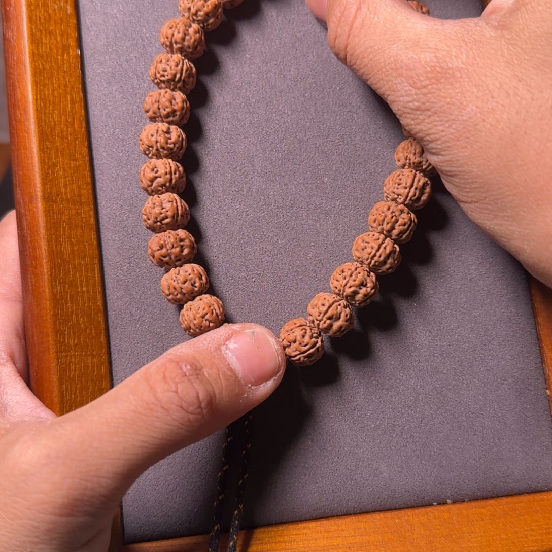 金刚菩提手串老树王12