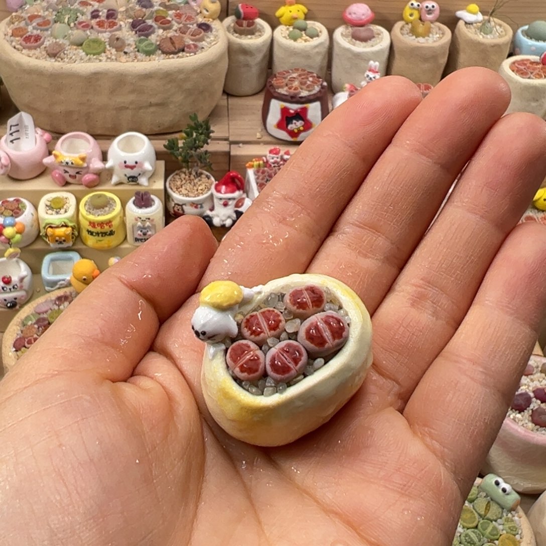 多肉植物135号红色