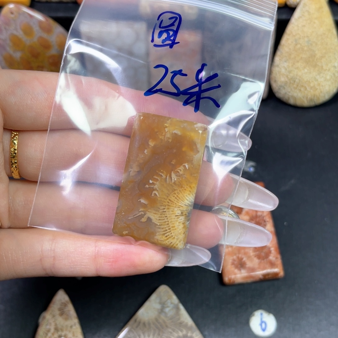 硅化珊瑚（珊瑚玉）未镶嵌吊坠