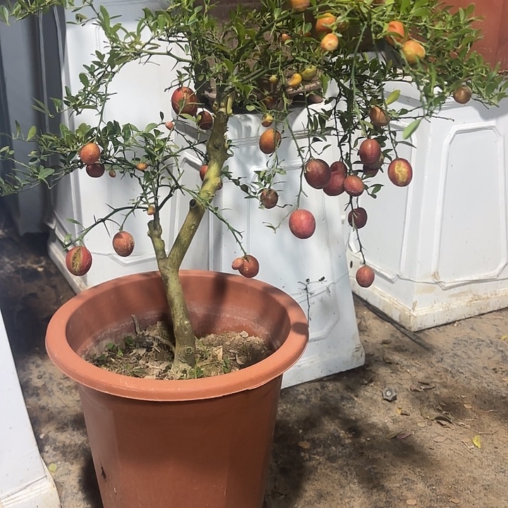 学***3无花朵哈哈哈哈哈