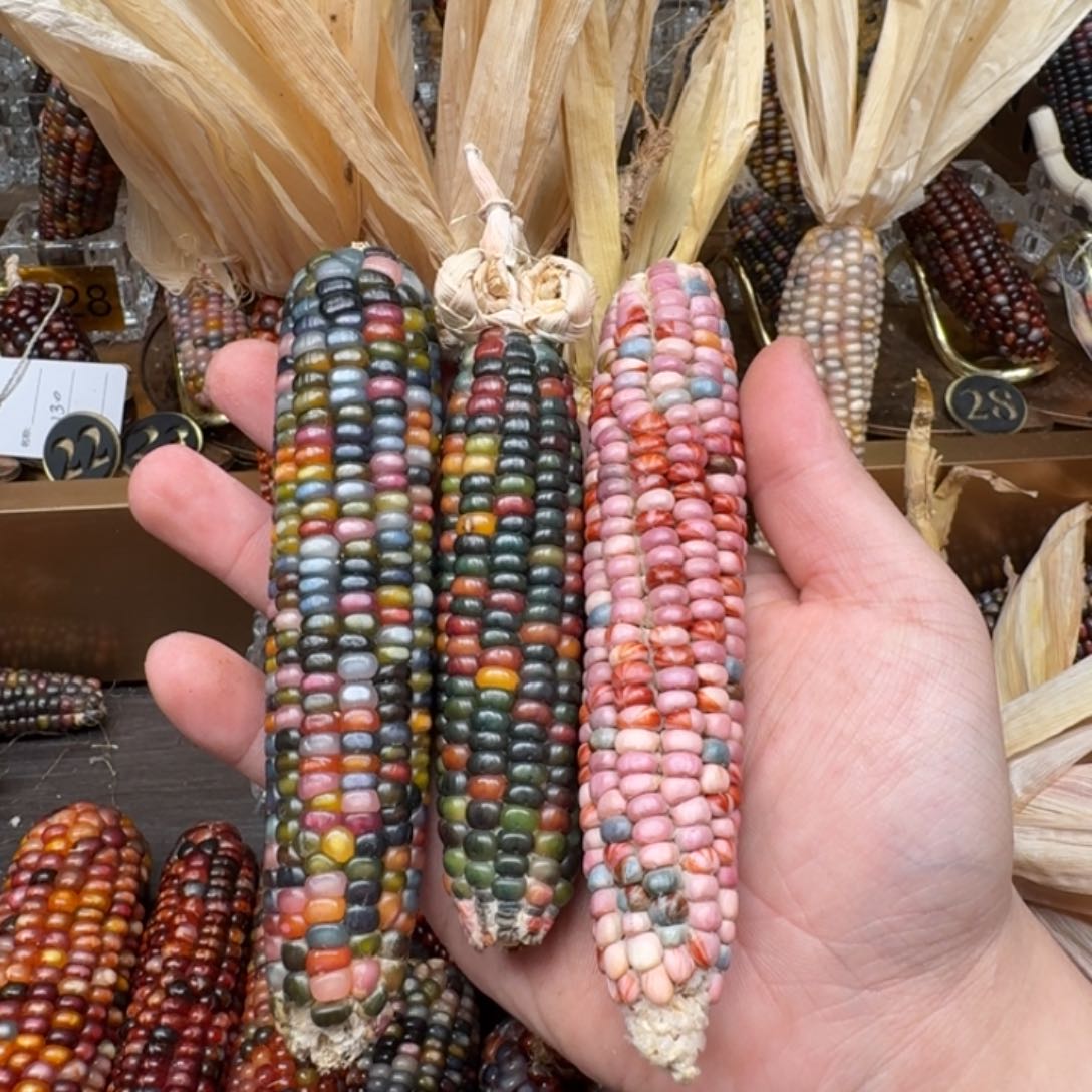 柏香籽/百香籽吊坠陆*