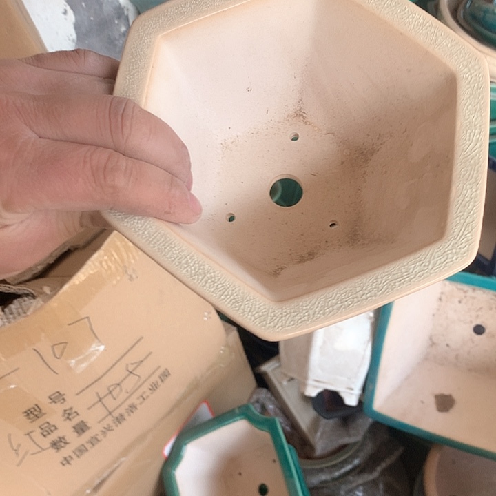 紫砂哈哈真的是太给力太火爆了