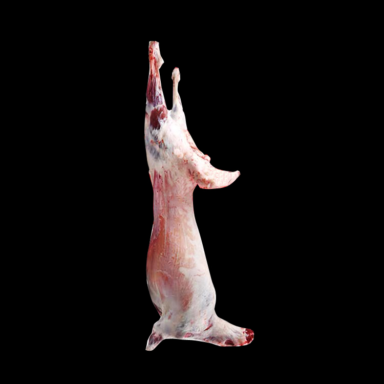 苏尼特羯羊称重（新鲜屠宰）