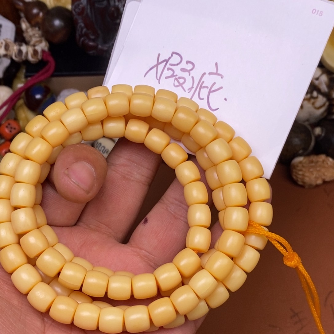 其他驼骨人工样子