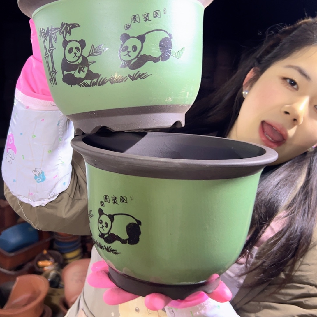 20+20绿色熊猫平角金钟花盆