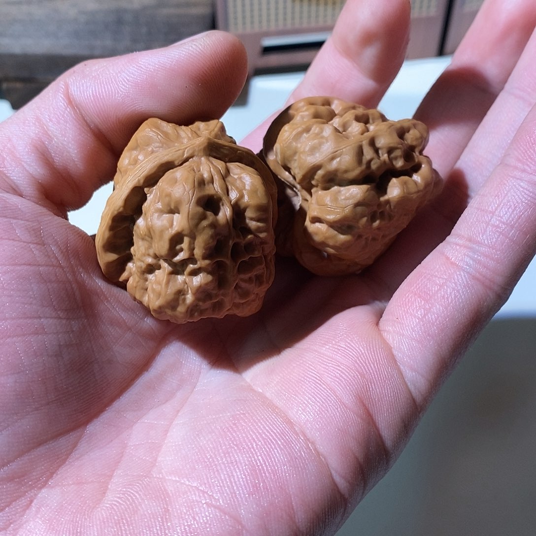 范***鹤精品文玩核桃蛤蟆头