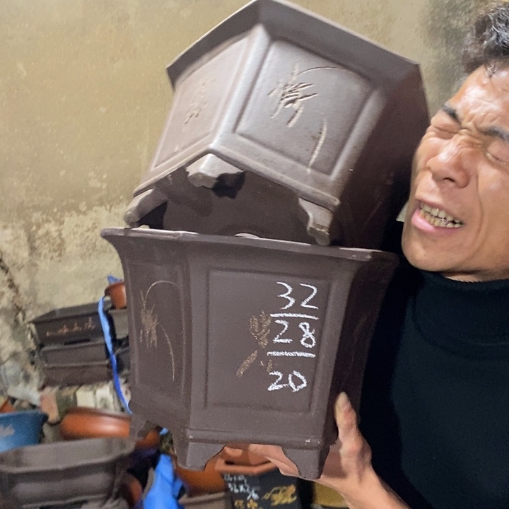 红陶紫砂紫砂紫砂