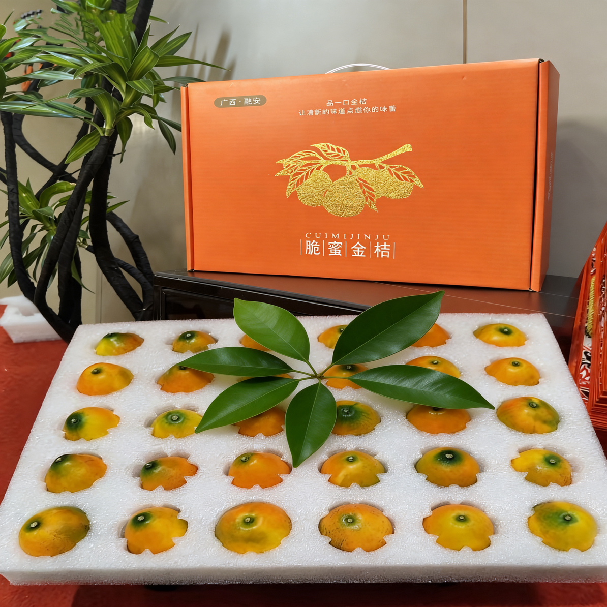 顺丰包邮融安脆蜜金柑新鲜现摘纯甜无酸孕妇水果