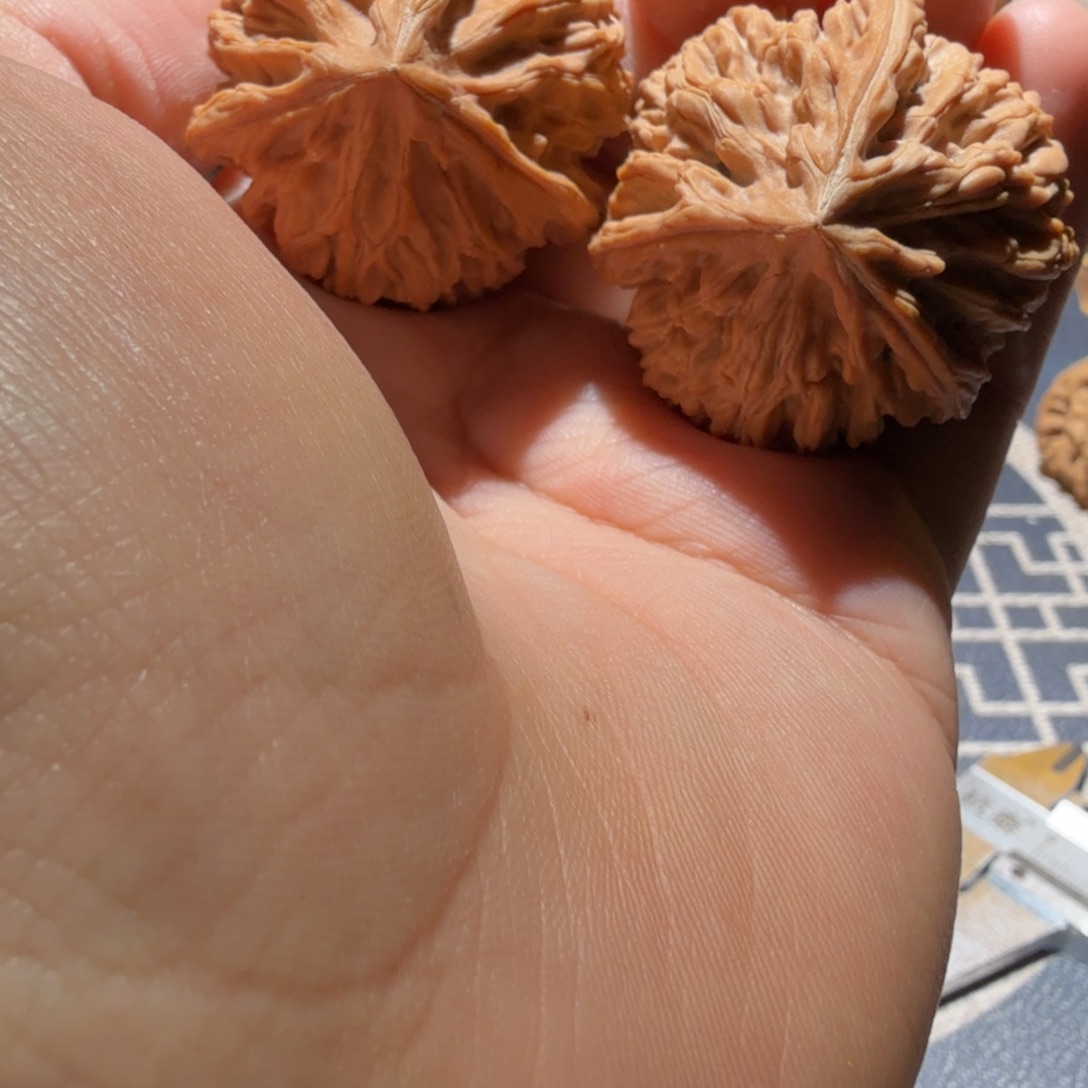 把件文玩核桃御龙正奔