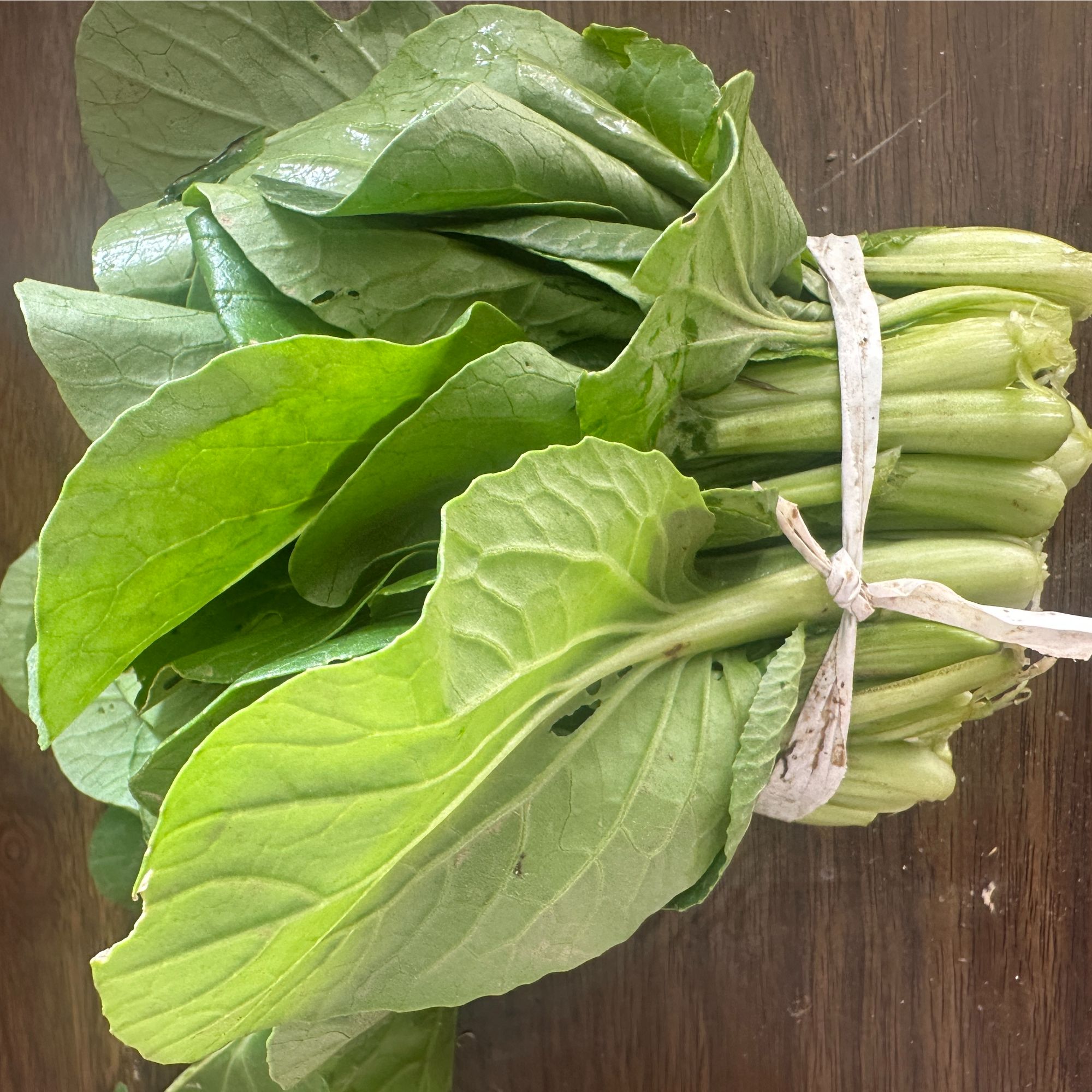 农家新鲜现摘小青菜