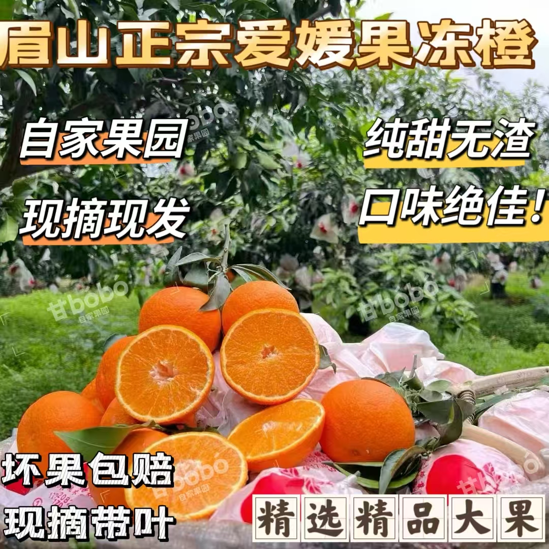四川正宗爱媛38号果冻橙应季水果汁水丰盈细嫩化渣