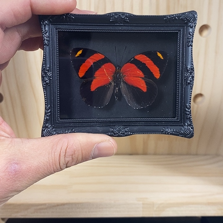 珐琅铁合金裕后图蛱蝶