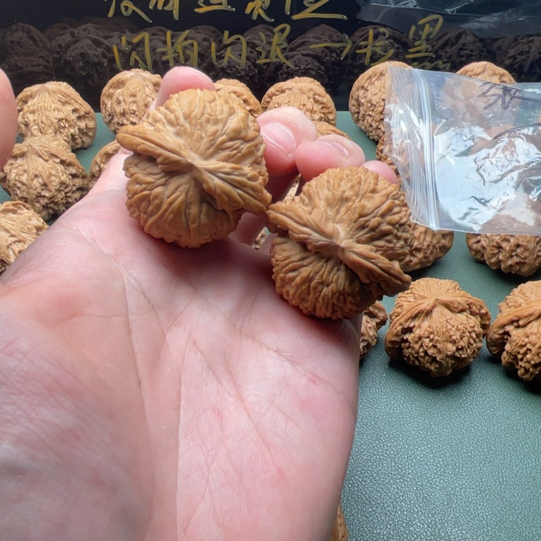 核桃把件38全品球白狮子