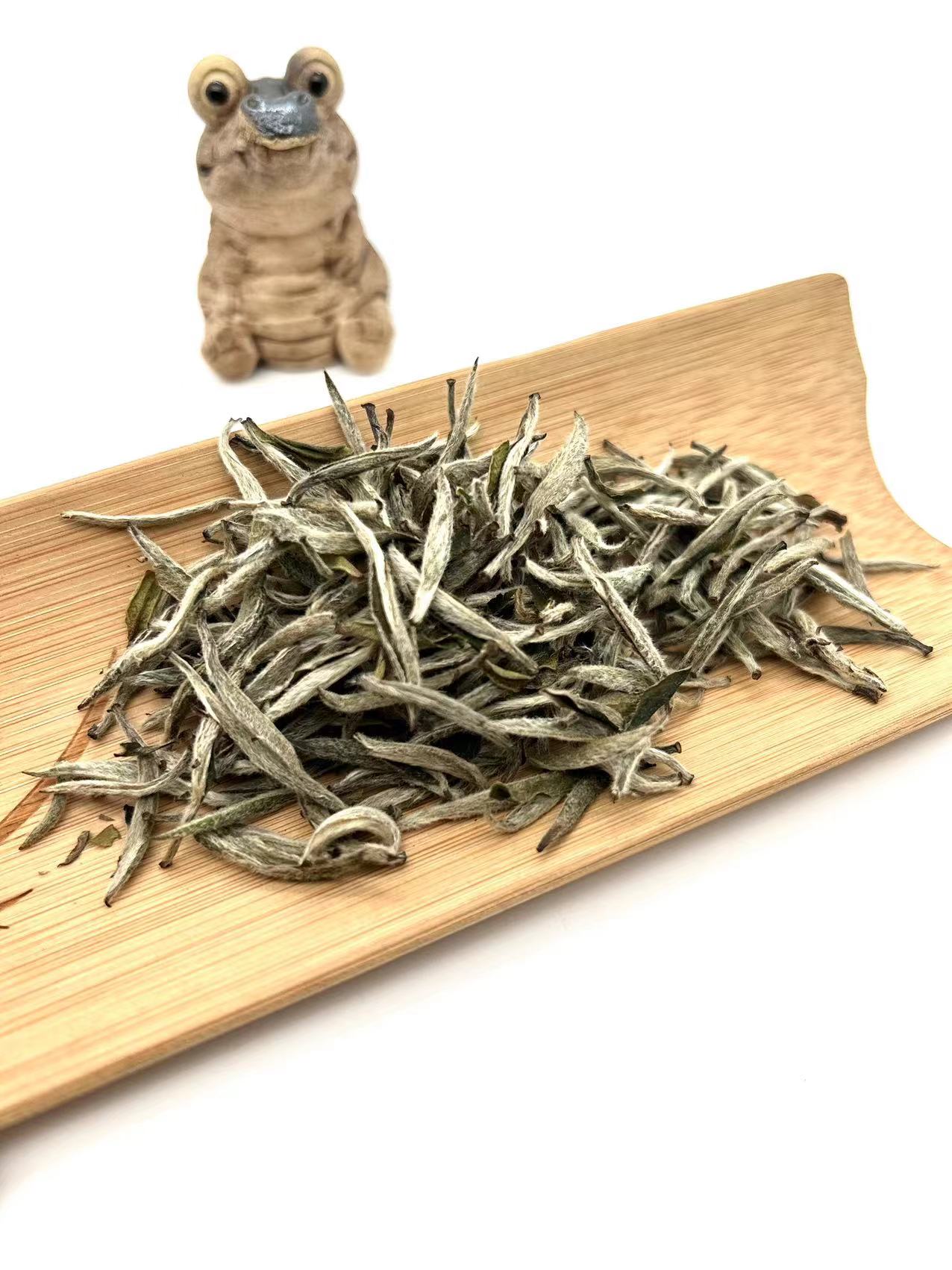 2022年雪后白毫银针-福安闪闪亮