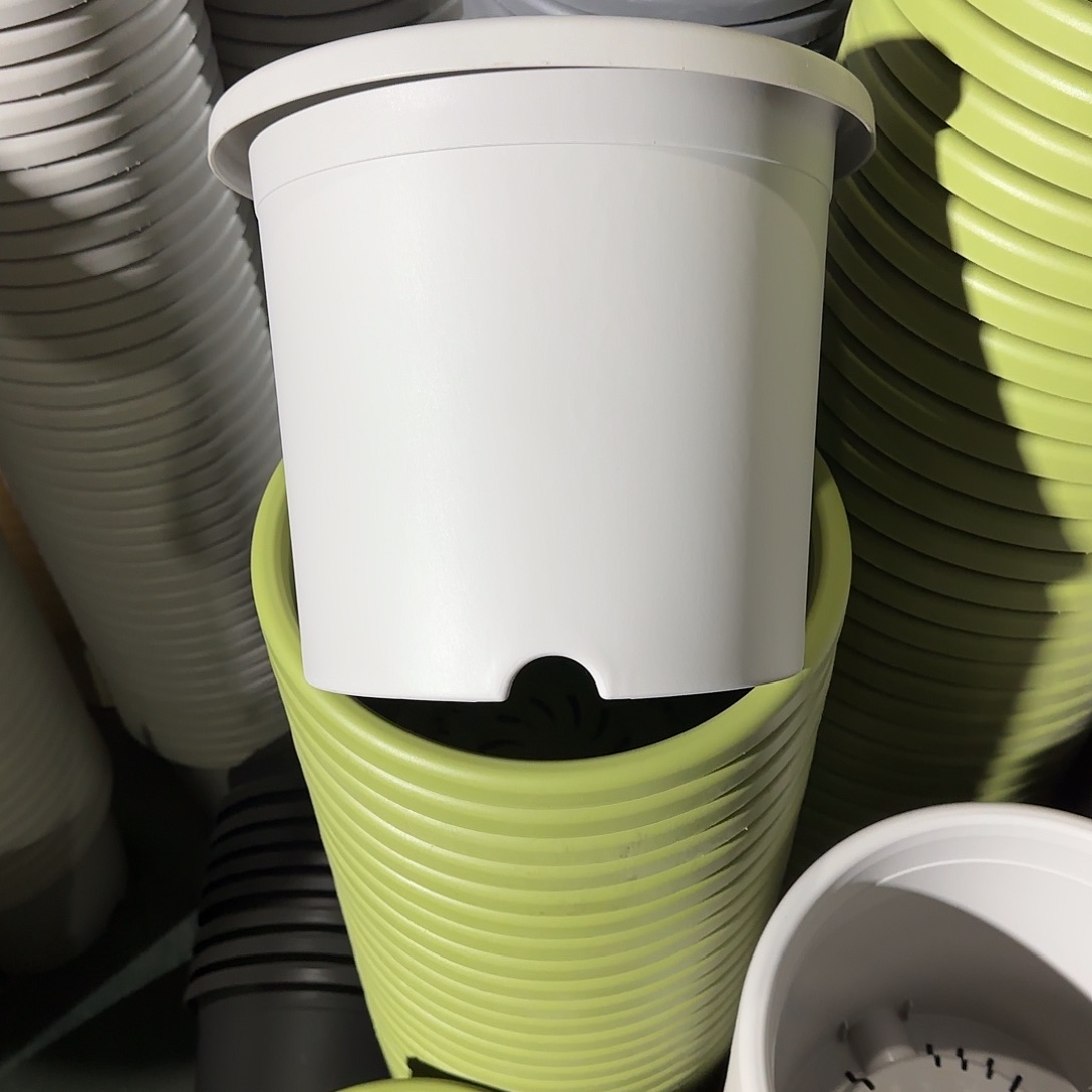 树脂微瑕5号6个无托，灰白