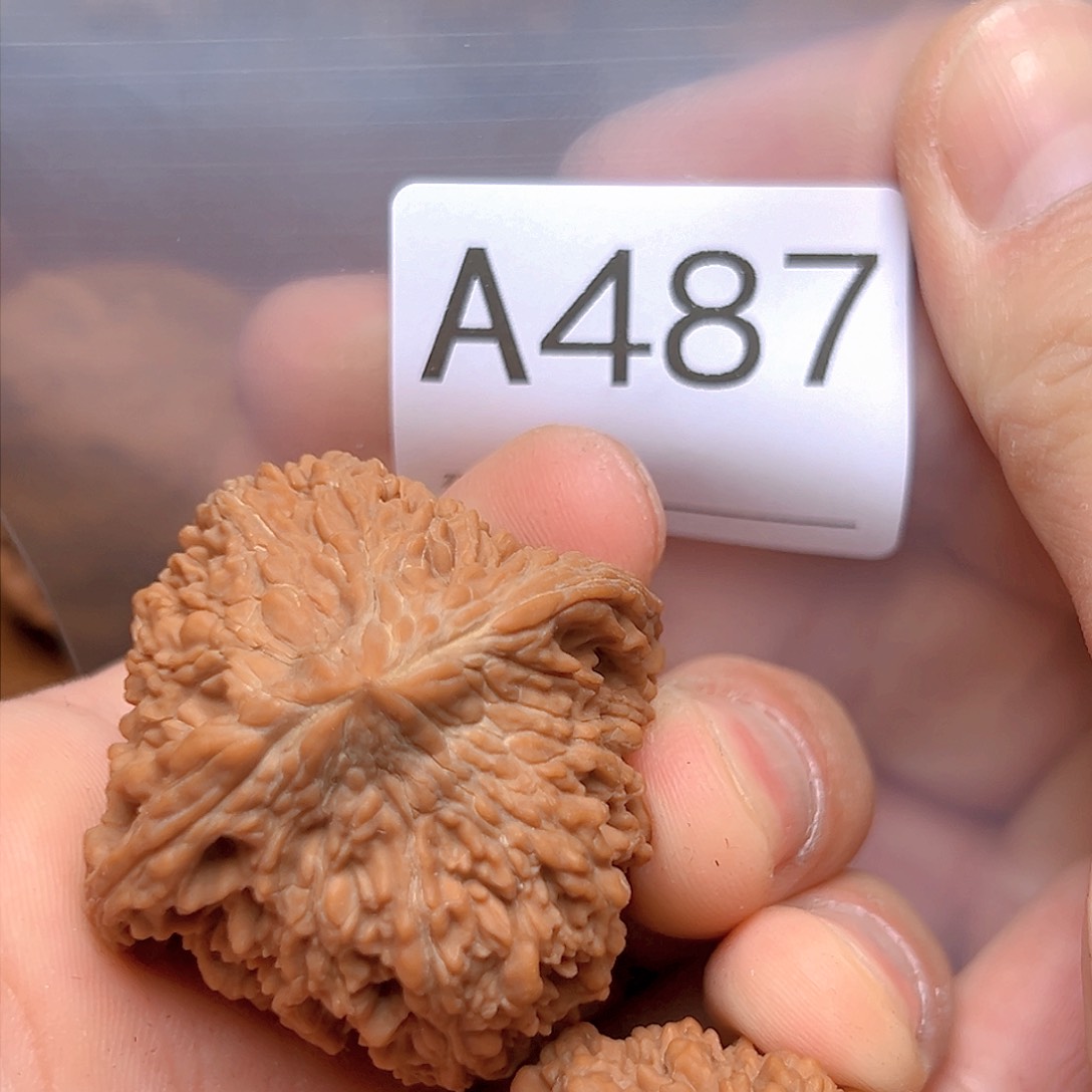 文玩核桃吊坠43➕ 满天星