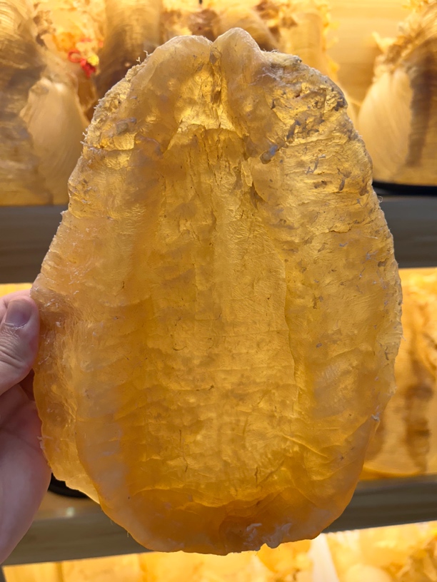 斗湖胶专用链接 滋补品 鱼胶花胶干货 广东