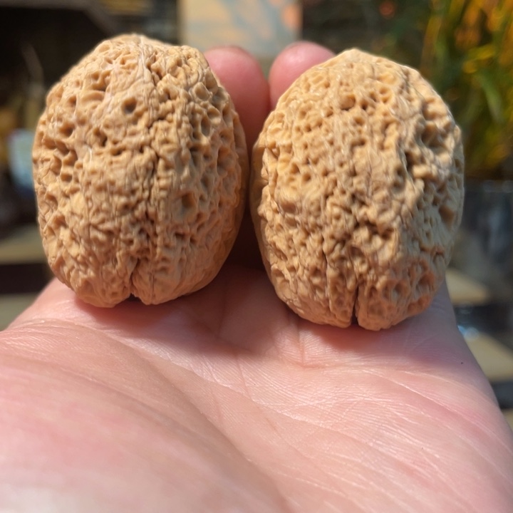 把件文玩核桃编号84