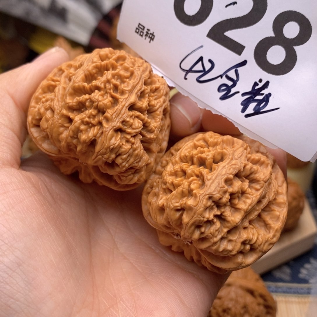 文玩核桃把件628号42全粗筋