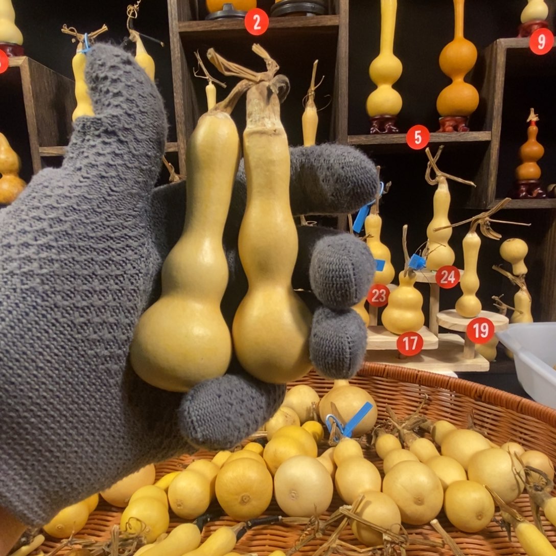 大***Z葫芦精品葫芦精品葫芦