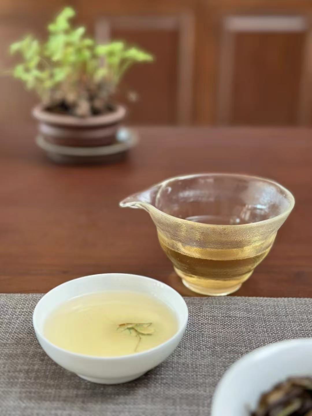白露 白茶 2020年