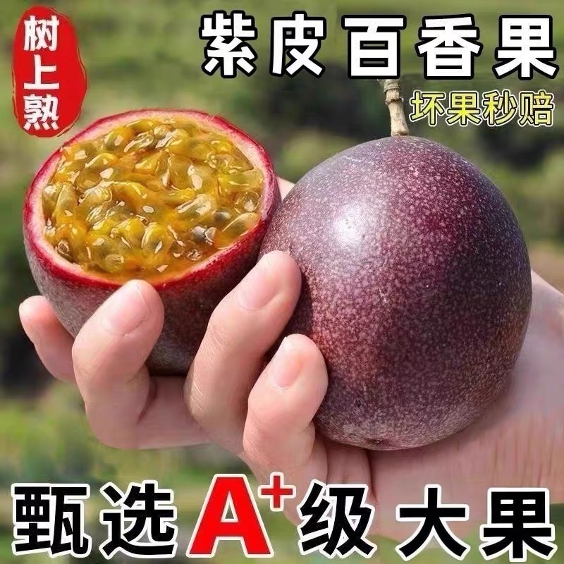 【新疆包邮】紫皮百香果新鲜当季水果酸甜多汁紫百香果新疆维吾尔自治区