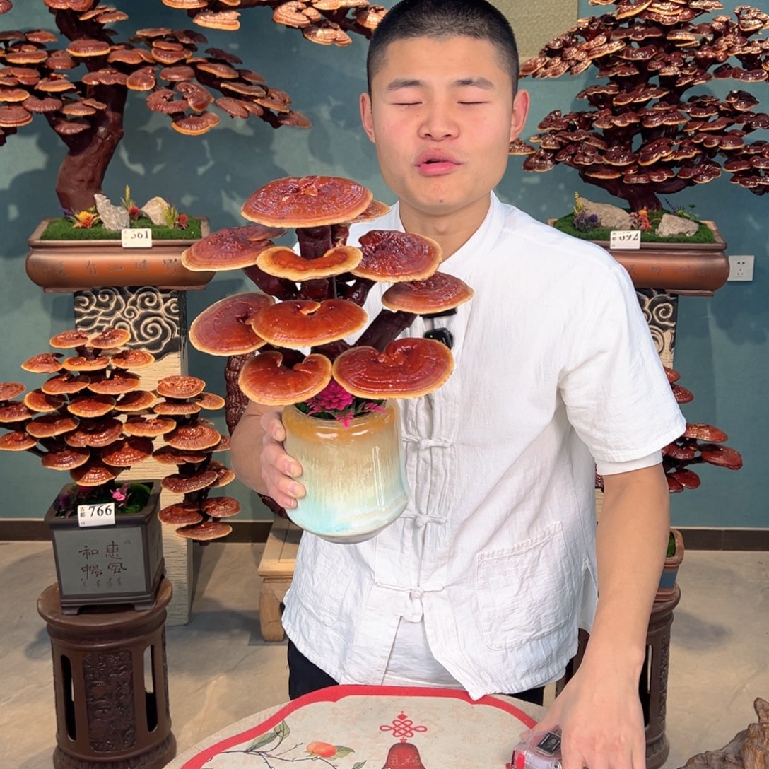 无花朵888888888888