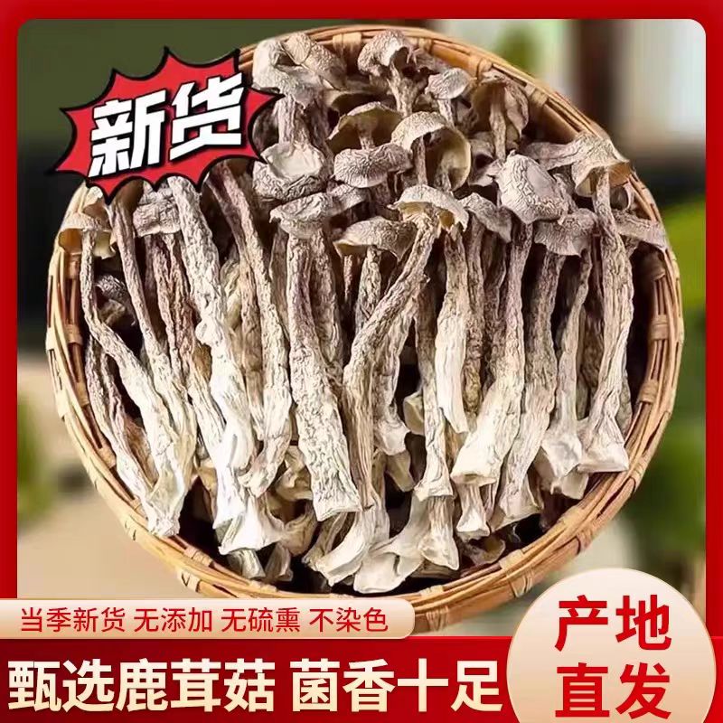 【直播补贴】新货鹿茸菌干货无熏硫煲汤精品脆脆菇可炖鸡煲汤