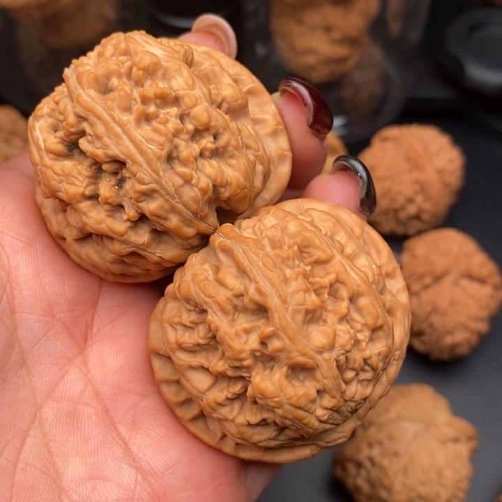 【闪购商品】蛤**?45尺全品无修大粗筋