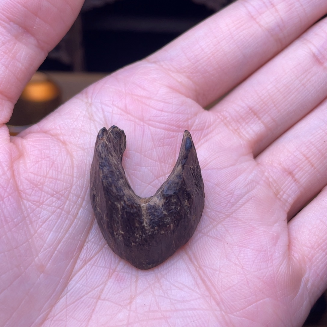认***真香榧木海南沉水树心5.1克
