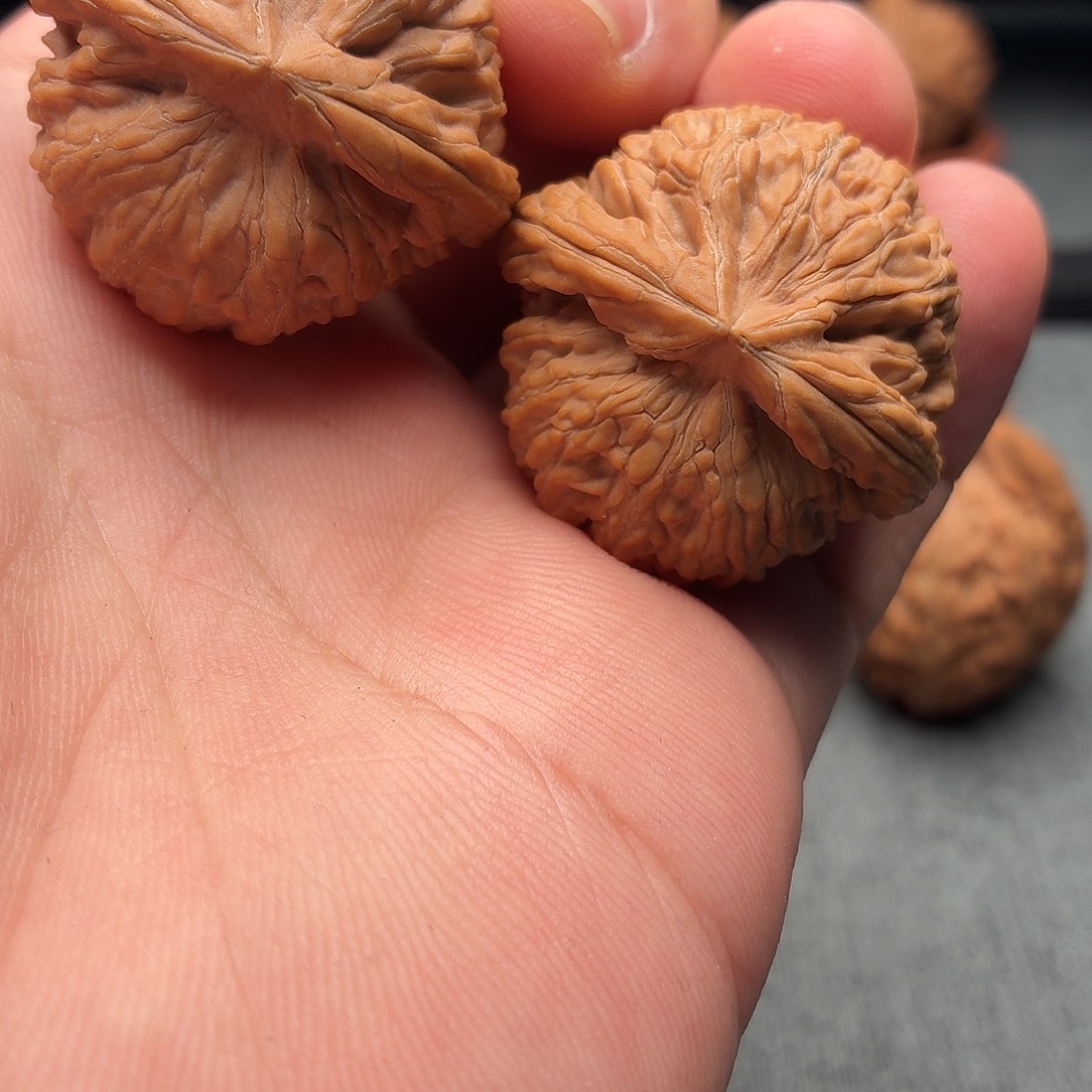 大***禹吊坠文玩核桃蛟龙36尺寸098