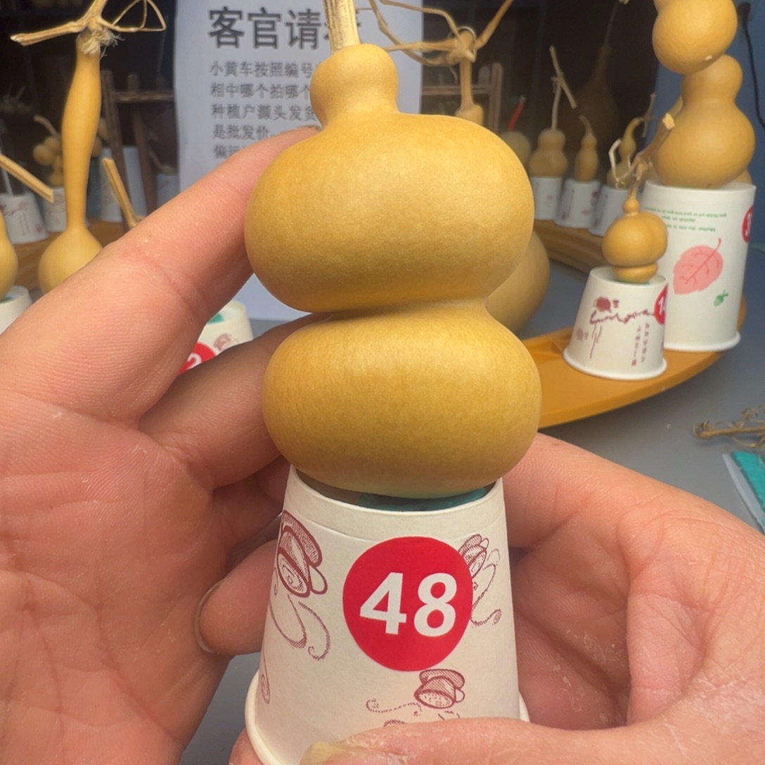 闪电购自助下单编号48