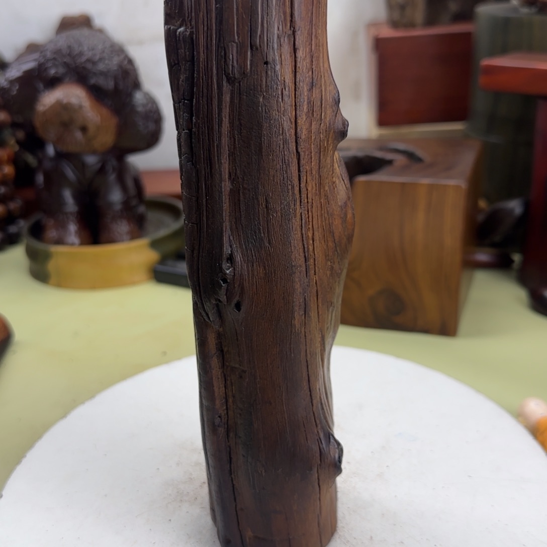 大果紫檀（缅甸花梨）用****)