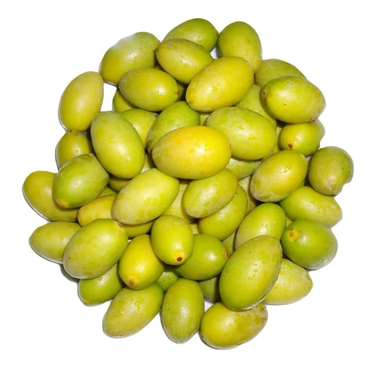 潮汕金灶老枞灵峰橄榄