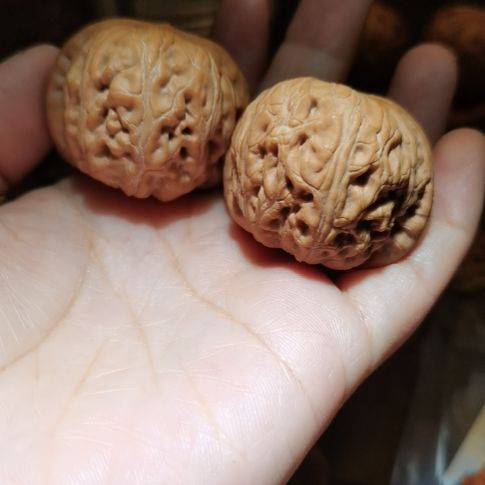 猴头核桃吊坠42元宝