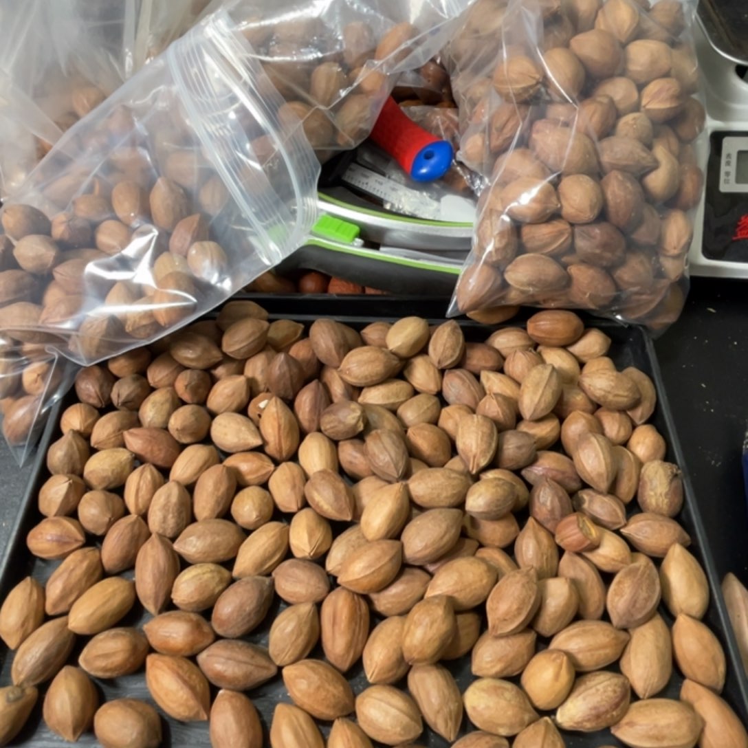 吊坠橄榄核㍿****㍿