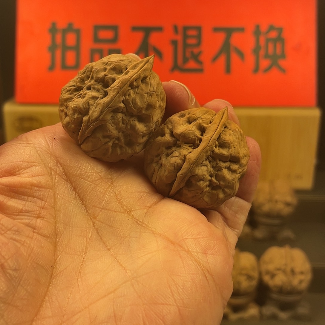 把件文玩核桃龙牙石