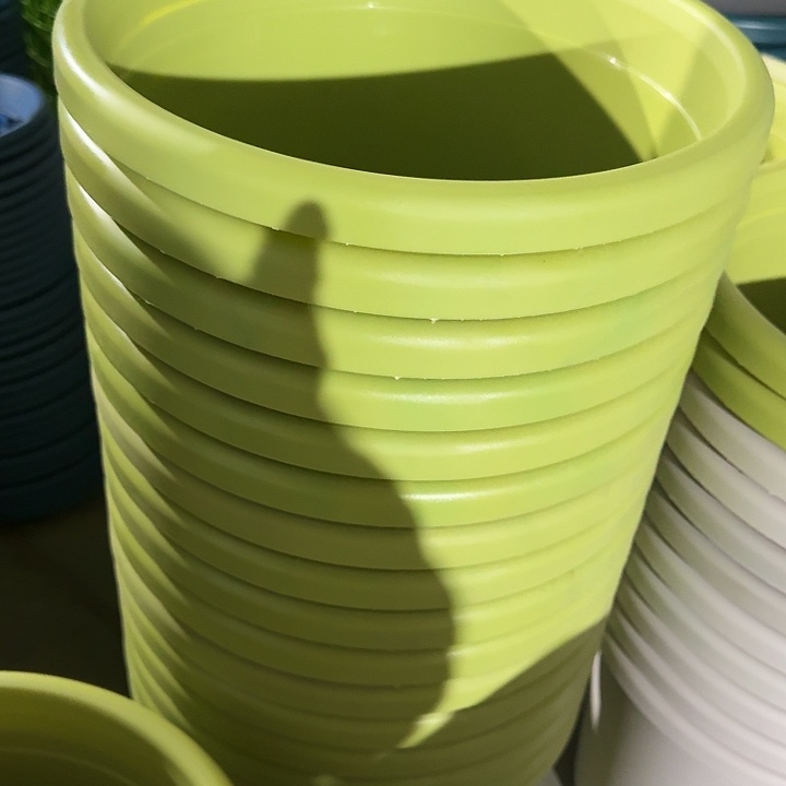 四季5号果绿无托5个磨损