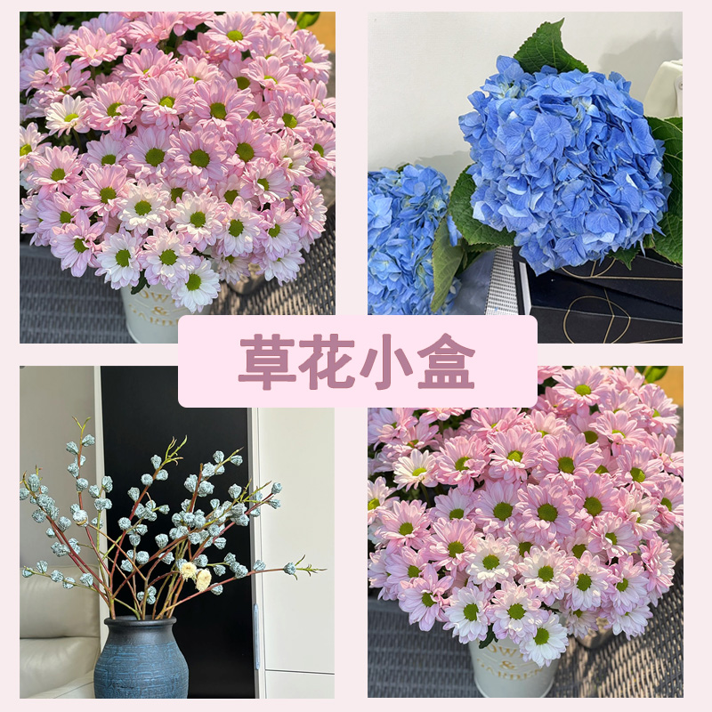 【草花小盒】粉色小菊1扎+绣球1枝+尤加利果1扎夏季耐养顺丰发货