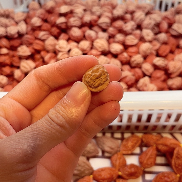 晖***哥文玩核桃手串小核桃手串金蟾