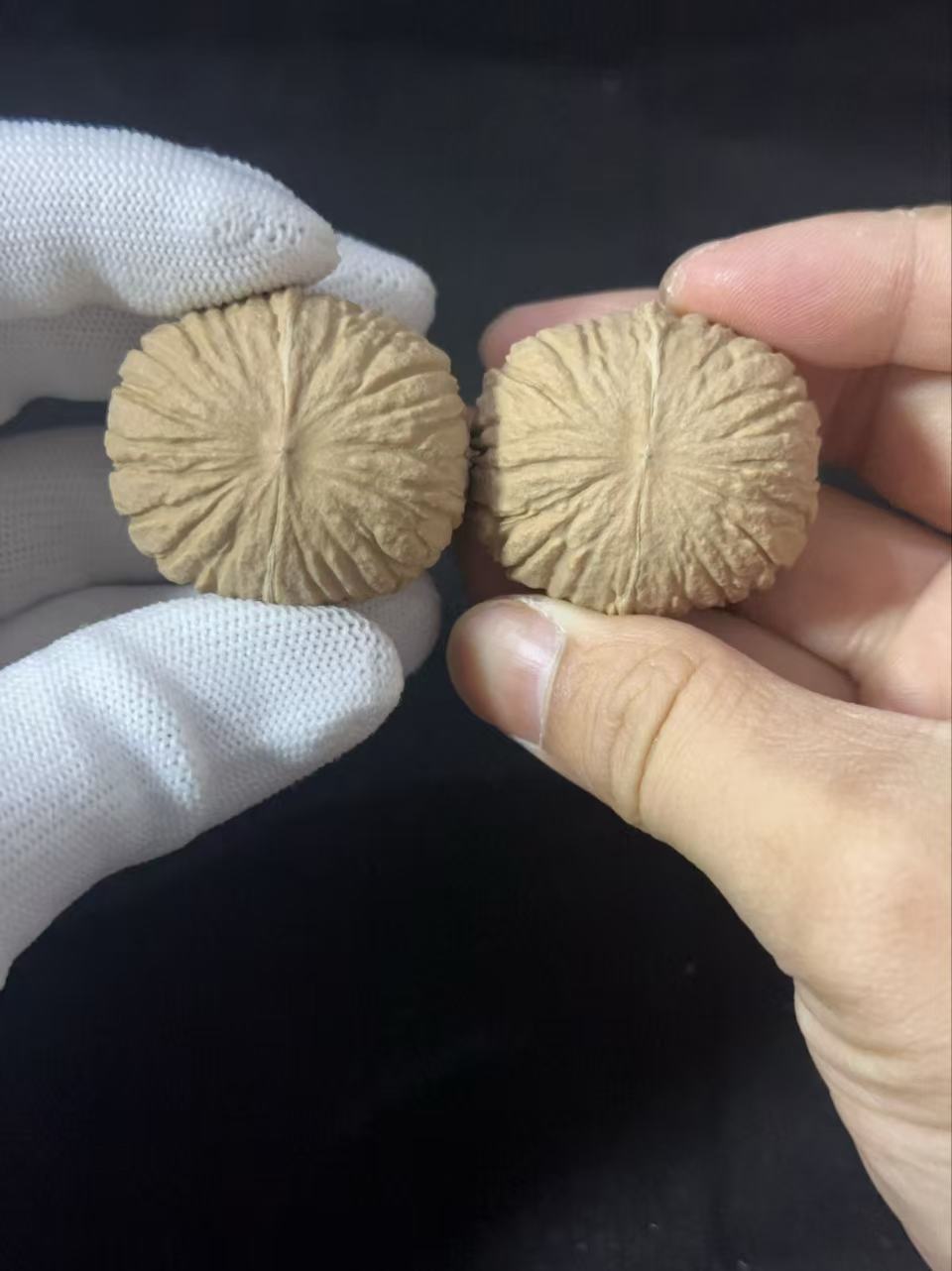 猴头元宝文玩核桃