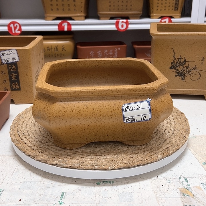 紫砂花盆蛇年大吉