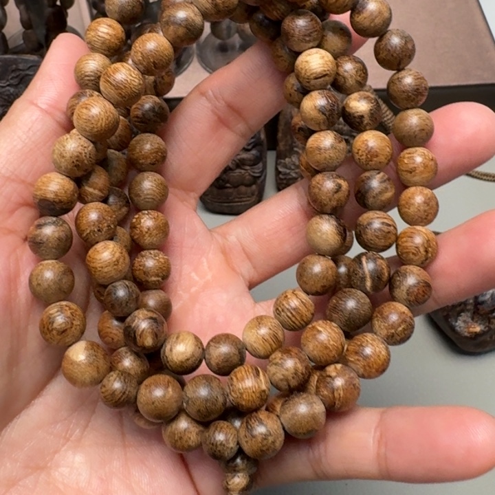 ABS孝柬埔寨0.8多圈