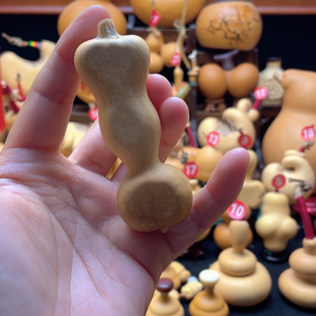 *️****大自然的秘密第十节第二十