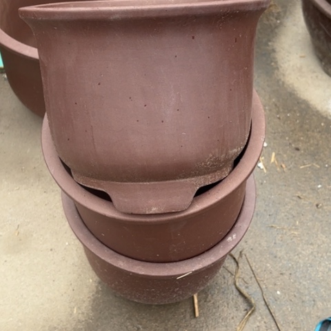 紫砂花盆   50-3。   19.5-16